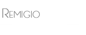 Remigio Silvestre Fot&oacute;grafo